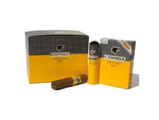 Thiết kế đặc trưng và tinh tế